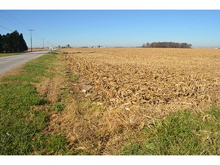 Tract 1 - FARMLAND AUCTION - 165.5+/- ACRES OFFERED IN 5 TRACTS OR COMBINATIONS IN EAST ALLEN COUNTY
